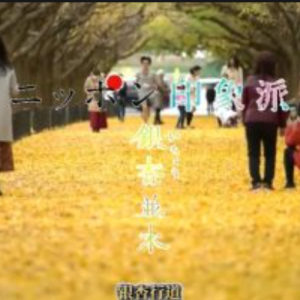 日本印象派 银杏行道 [日语中日双字]