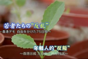 年轻人的“反叛” 香港占中75天 [日语中日双字]