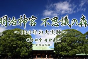 明治神宫 不可思议的森林 百年大实验[日语中日双字]