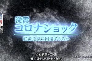 新冠冲击 经济危机能否避免？[日语中字]