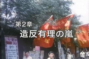 民衆が語る中国(2) 造反有理の嵐 [日语无字]