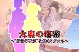 历史秘话(042) 大奥 生活在“成功之路”里的女人们 [日语中字]