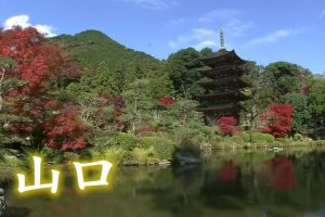 新日本风土记「山口」 [日语日字]