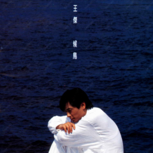 王杰1994 – 候鸟[飞碟][WAV+CUE]