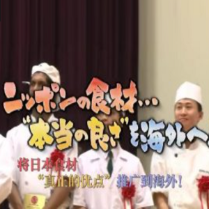 盖亚的黎明 将日本食材卖到海外去[日语中日双字]