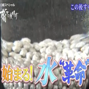 盖亚的黎明 始まる！水革命 [日语日字]