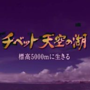 天上的圣湖 玛旁雍错[日语无字]