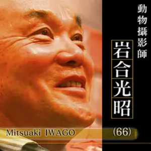 行家本色 (326) 动物摄影师岩合光昭[日语中字]