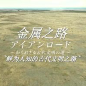 金属之路 鲜为人知的古代文明之路 [日语中日双字]