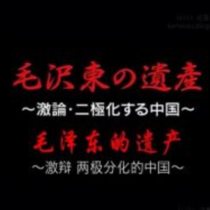 毛泽东的遗产 郑州思想沙龙的激辩 [日语中日双字]