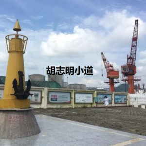 胡志明小道[日语无字]