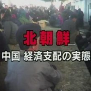 中国支配下的北朝鲜经济 [日语日字]