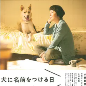 为你取名的那一天 犬に名前をつける日 (2015)[日语中字]