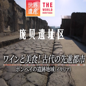 世界遗产 庞贝遗址区[日语中日双字]