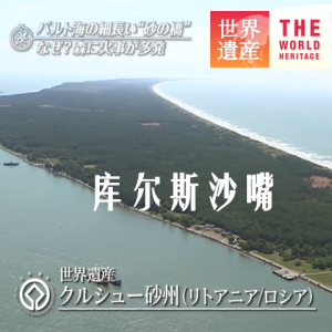 世界遗产 库尔斯沙嘴[日语中日双字]