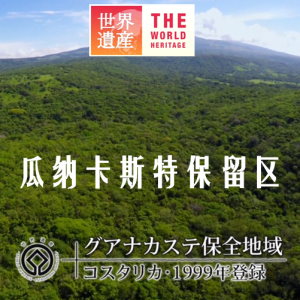 世界遗产 瓜纳卡斯特保留区[日语中日双字]