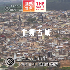 世界遗产 非斯古城[日语中日双字]