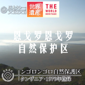 世界遗产 恩戈罗恩戈罗自然保护区[日语中日双字]