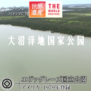 世界遗产 大沼泽地国家公园[日语中日双字]