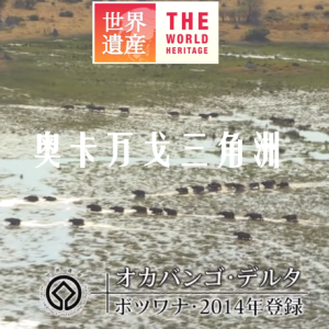 世界遗产 奥卡万戈三角洲[日语中日双字]