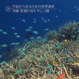 世界遗产 宇宙俯瞰日本Ⅰ 洋流孕育的流冰和珊瑚 [日语日字]