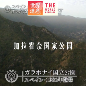 世界遗产 加拉霍奈国家公园[日语中日双字]