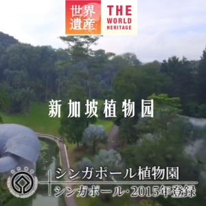 世界遗产 新加坡植物园[日语中日双字]