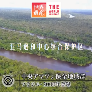 世界遗产 亚马逊和中心综合保护区[日语中日双字]