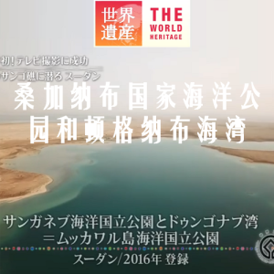 世界遗产 桑加纳布国家海洋公园和顿格纳布海湾 [日语中日双字]