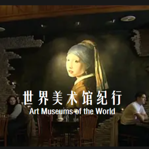 世界美术馆纪行 Art Museums of the World 2003[全13集][NHK][英语中字][1080P] 缺第2集