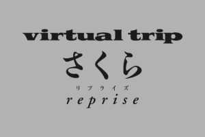 真实之旅 樱花[纯风景]