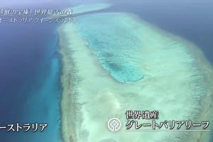 世界遗产 昆士兰湿热带地区 [日语中日双字]