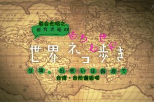 猫步走世界 中国台湾 台阶邂逅喵[日语中日双字]