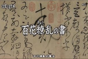 故宫至宝(10) 百花缭乱的书法[日语中日双字]