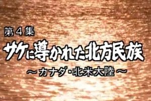 民以食为天 河海的猎人们系列 (4) 被鲑鱼引导的北方民族_加拿大-北美大陆[日语中字]