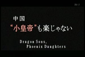 望子成龙 中国小皇帝 并不快乐[国语日字]