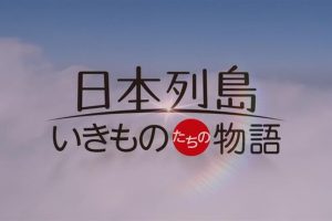 日本列岛 动物物语[日语中日双字]