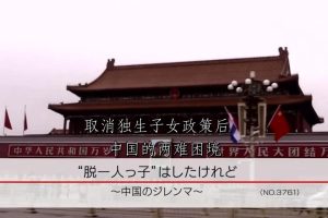 取消独生子女政策后 中国的两难困境[日语中字]