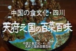 中国之食文化 (4) 四川 天府之国 百菜百味[日语中字]