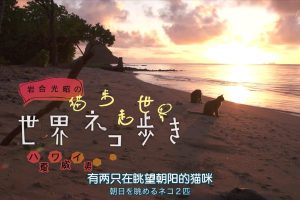 猫步走世界 夏威夷[日语中日双字]