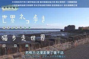 猫步走世界 苏格兰[日语中日双字]
