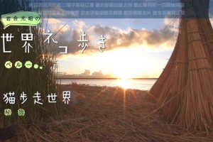 猫步走世界 秘鲁的的喀喀湖上的猫咪[日语中字]