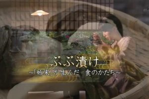 京都ぶらり歴史探訪(08) ぶぶ漬け～“始末”が生んだ 食のかたち [日语无字]