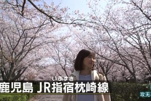 日本铁道之旅 JR指宿枕崎线之旅[日语中日双字]