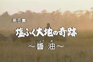 亚洲丰富的饮食世界系列（5）盐碱地与大地的奇迹~酱油[日语日字]