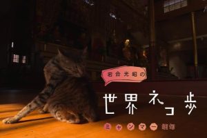 猫步走世界 缅甸篇[日语中日双字]