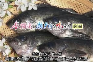 日本美食纪行 (01) 春之烂漫 濑户内海 上集[日语中字]