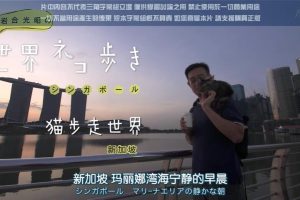 猫步走世界 新加坡篇[日语中日双字]