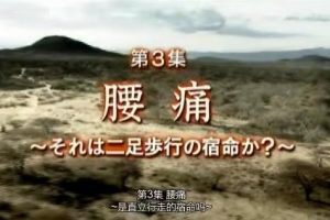 疾病的起源(3)腰痛 直立行走的宿命[日语中字]