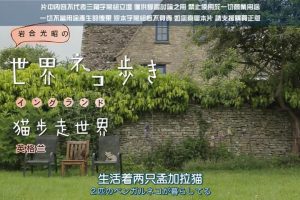 猫步走世界 英格兰篇[日语中日双字]